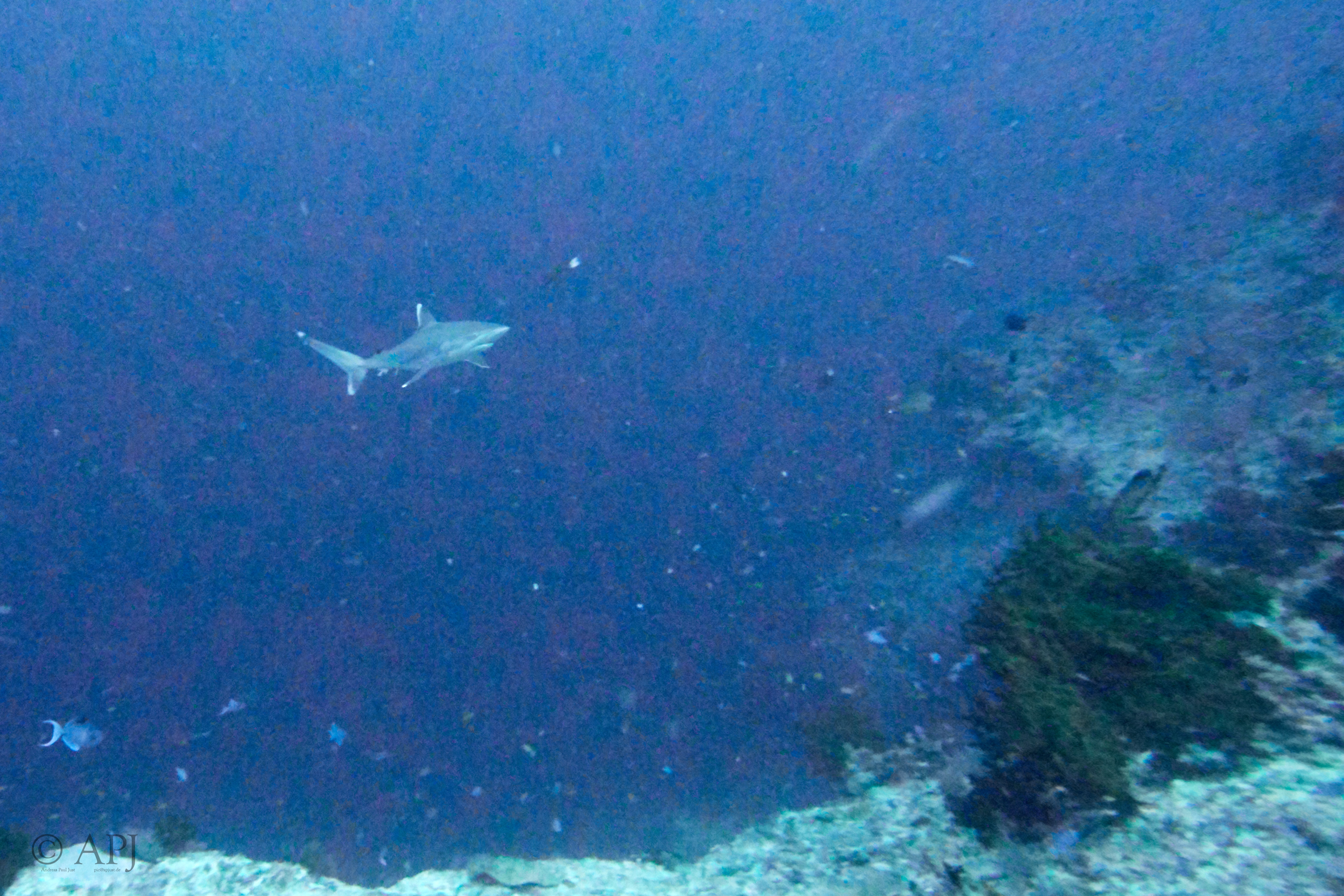 003381 18 08 17  Canon PowerShot G7 X Mark II   Malediven2017